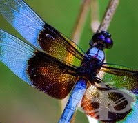 ���������� ����� �� �����... �� �����