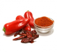 10 ����� �� ������ �������