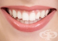 ���������� ���� �� �������� ������