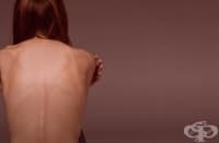 ��������� ������� �� ���� ������ �������� ���������