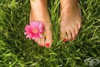 ���� ����������� ����� �� �������, ����� �� ���� �� �����������?