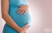 �������������� ����� ���������� ���� �� ������������ �������� ��� ���������