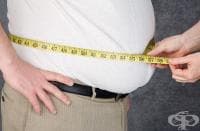 �������� �� ��������� ���� ������ � ��������