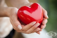 �������������� ������, ������ ������� ������