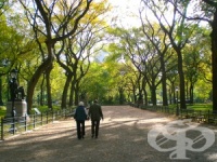 ������� �� ������������� �� �������� ���� �������� ����� ����� ���