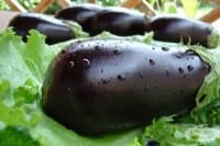 ����������� ����� �� ���������� � ����������