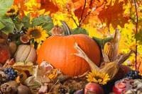 ����� � ����� �� 12 ���