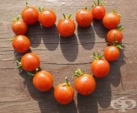 ����� � ���� � ������� ���