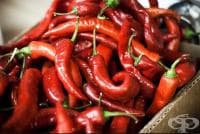 ������ ����� � ������� � �����������