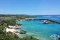 ����� ������� �� ������ � ���������� - �������, ������� � ������