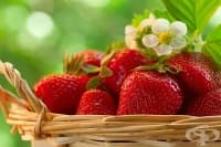 ������������ ������� �����