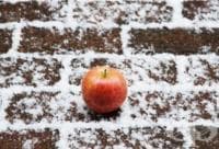 12-������ ����� ����� �� ����� ������ �� ���������