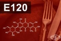 E120 Кохинил, Карминова киселина