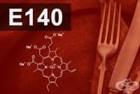 E140 Хлорофили, хлорофилини