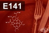 E141 Медни комплекси на хлорофила и хлорофилина