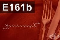 E161(b) Лутеин