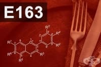 E163 Антоцианини