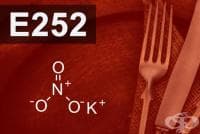 E252 Калиев нитрат
