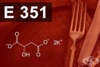E351 Калиев малат