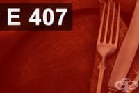 E407 Карагенан