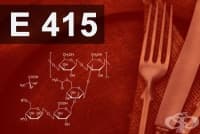 E415 Гума ксантан