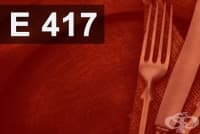 E417 Гума тара