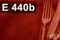 E440(b) Амидиран пектин