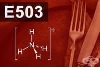 E503 Амониеви карбонати
