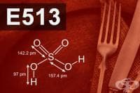 E513 Сярна киселина