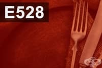 E528 Магнезиев хидроксид