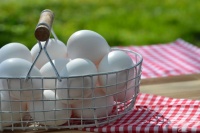 Яйчена диета