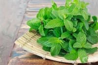 ������� �� ����� ���� �������� �� ���������� - ���� 1