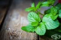 ������� �� ����� ���� �������� �� ���������� - ���� 3