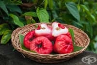 Чомпу (розова ябълка)