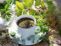 ������ ���� �������� �� ����������