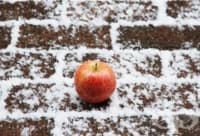 12-дневна зимна диета за бърза загуба на килограми