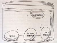 15 трика, които ще улеснят ежедневието ви