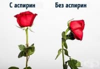10 хитри трика от нашите баби, които все още работят