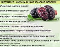 Черницата бори различни здравословни проблеми