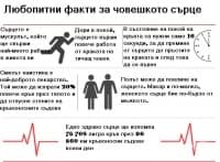 Любопитни факти за човешкото сърце, от които ще останете смаяни