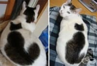 18 животни, които доказват, че майката природа има чувство за хумор