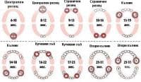 Схема за поникване на зъбите при децата