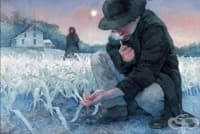 Годината без лято - феноменалното застудяване от 1816-та