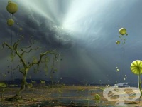 ������� �� ������������ ��������