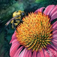 ������� �� ����������