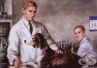 Инсулин - откритието на Фредерик Бантинг от 1921 година