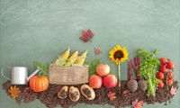 На какви храни да наблегнем през есента