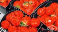10 хранителни продукта, забавящи стареенето