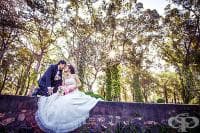 ������� ��������� ���� �� ������, ����� ����� ����� �� ������