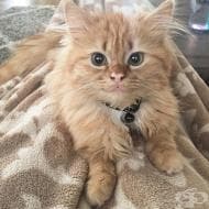 ���������� �� � ������, ����� �� ����� �� �� �������, ���� ���� � ���� �������